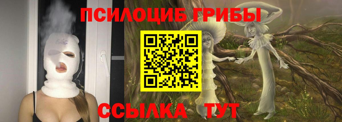 Магнитогорск  купить наркотики цена  Вход с VPN  Псилоцибиновые грибы мицелий 